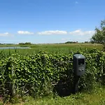 Κάμπινγκ De Hut, In Natuurgebied En Vlakbij Het Callantsoog