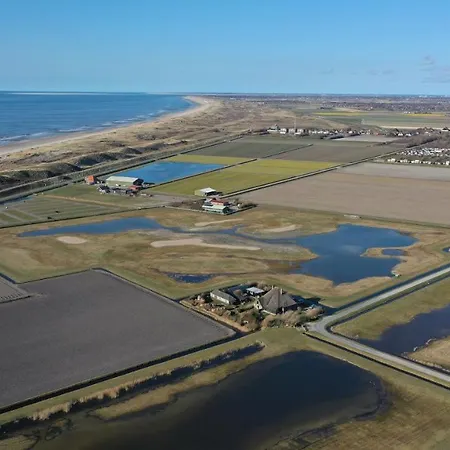 De Hut, In Natuurgebied En Vlakbij Het Campsite *