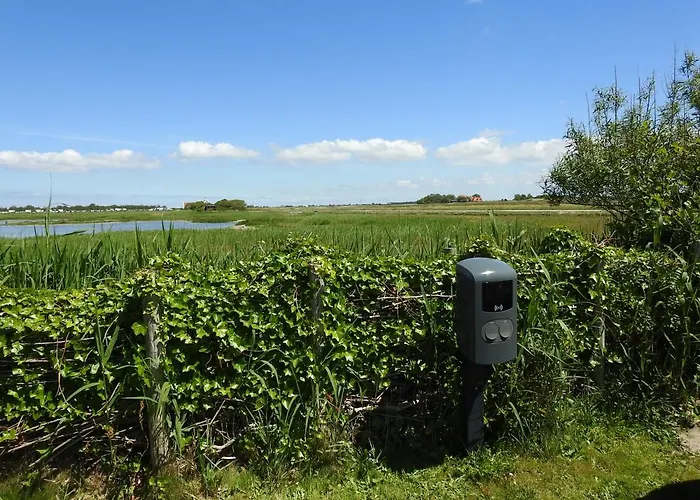 Camping De Hut, In Natuurgebied En Vlakbij Het Callantsoog
