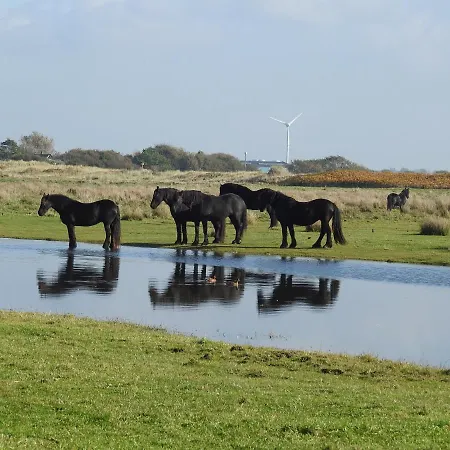 De Hut, In Natuurgebied En Vlakbij Het 캠프장 *